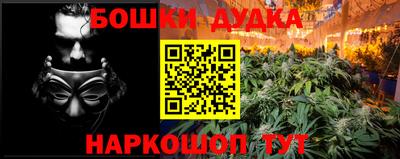 PSILOCYBIN Кунгур