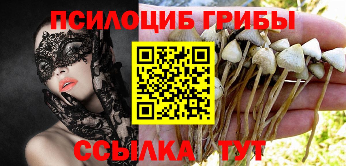 Купить наркотик  COCAIN  ГАШ  МДМА  Вход с VPN  Меф МЯУ МЯУ кристаллы  Кашира  A PVP СОЛЬ кристаллы  Конопля 