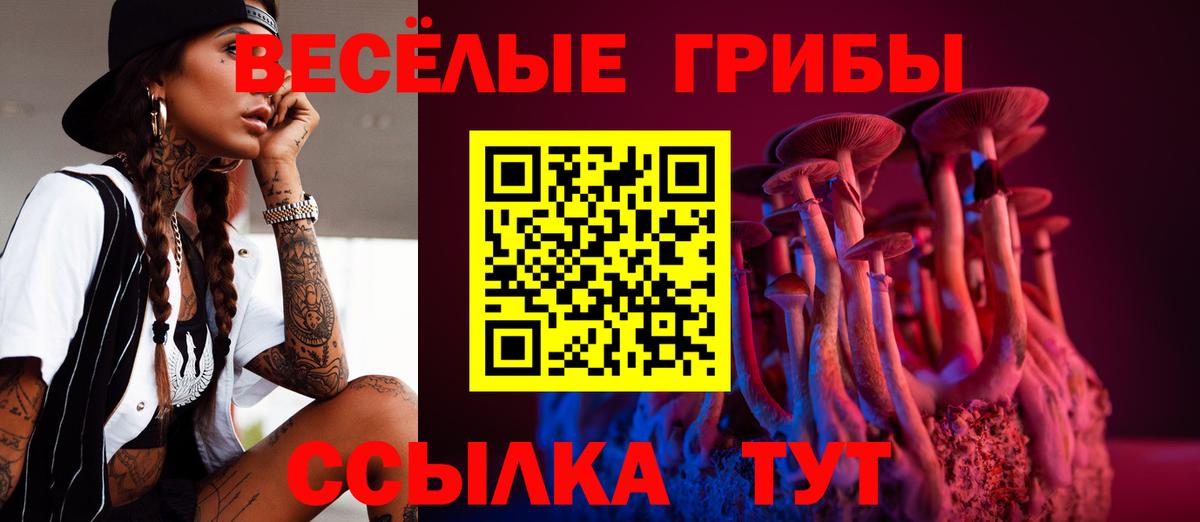 Кашира  Псилоцибиновые грибы GOLDEN TEACHER  Вход с VPN 